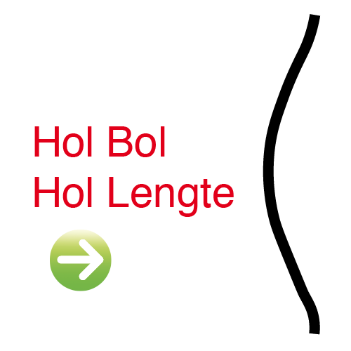 Onze beschikbare types lachspiegels, Hol Bol Hol, maakt klein en dik. (Tip: ga er zijdelings voorstaan!)